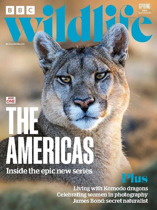 Upplýsingar um BBC Wildlife Magazine eftir Our Media Limited - Til útláns